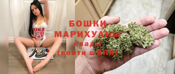 прущие грибы Михайлов