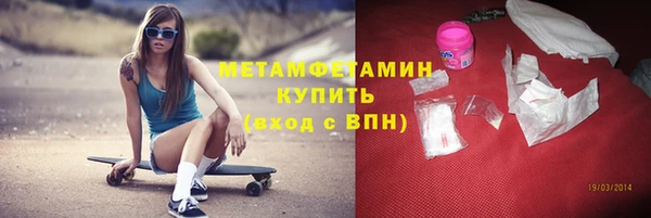 прущие грибы Михайлов