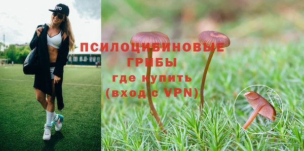тгк Михайловка