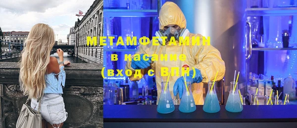прущие грибы Михайлов