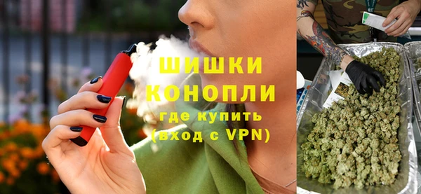 прущие грибы Михайлов