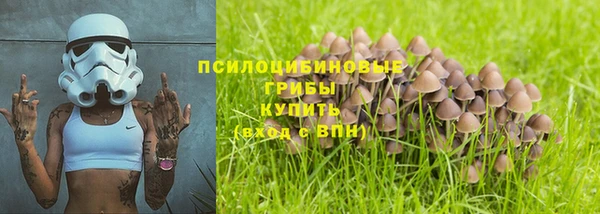 молекула духа Ахтубинск