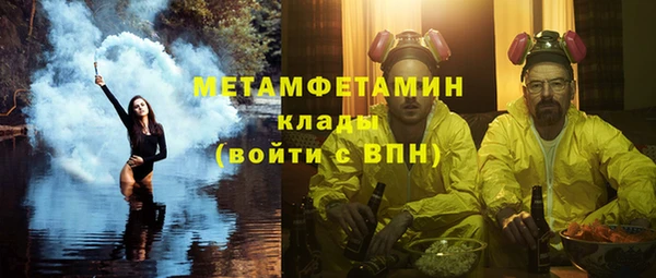 прущие грибы Михайлов