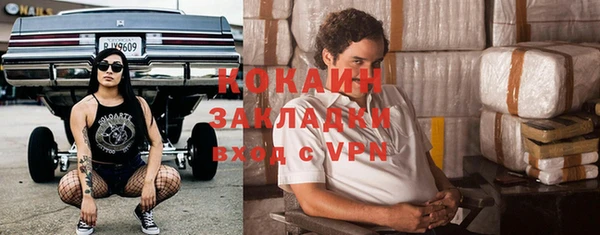 прущие грибы Михайлов