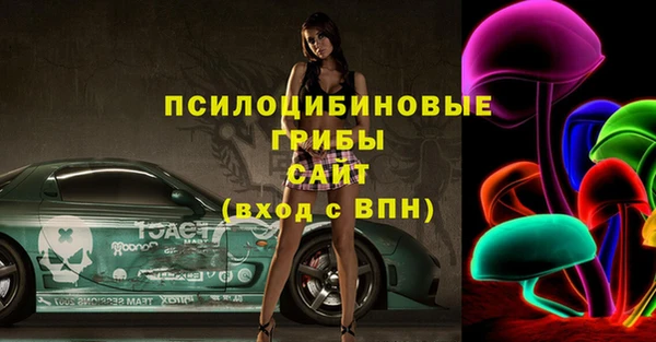 гашик Медвежьегорск