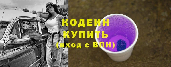 прущие грибы Михайлов